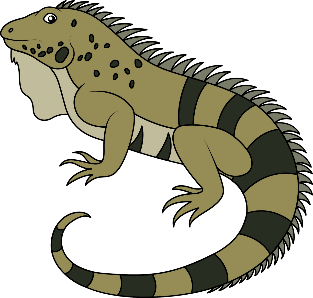 Iguana vector clipart images 5