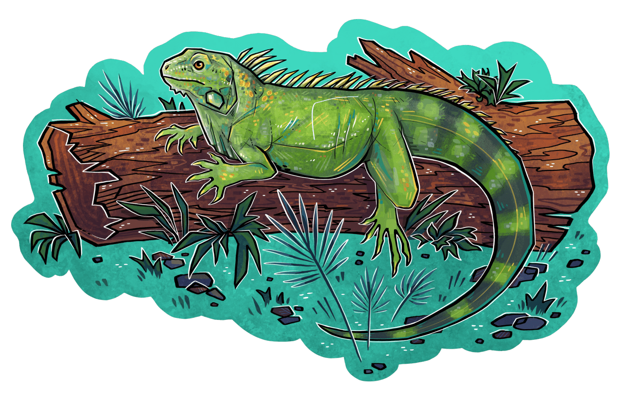 Behold beasts id of an iguana ocelot las clipart image