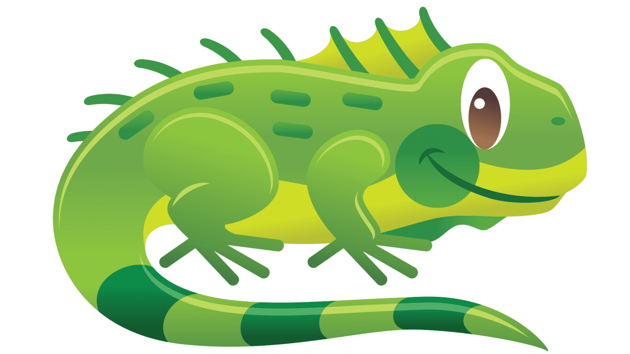 Iguana image size clipart