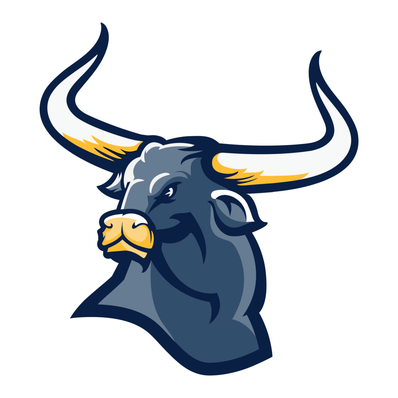 Longhorn images clipart