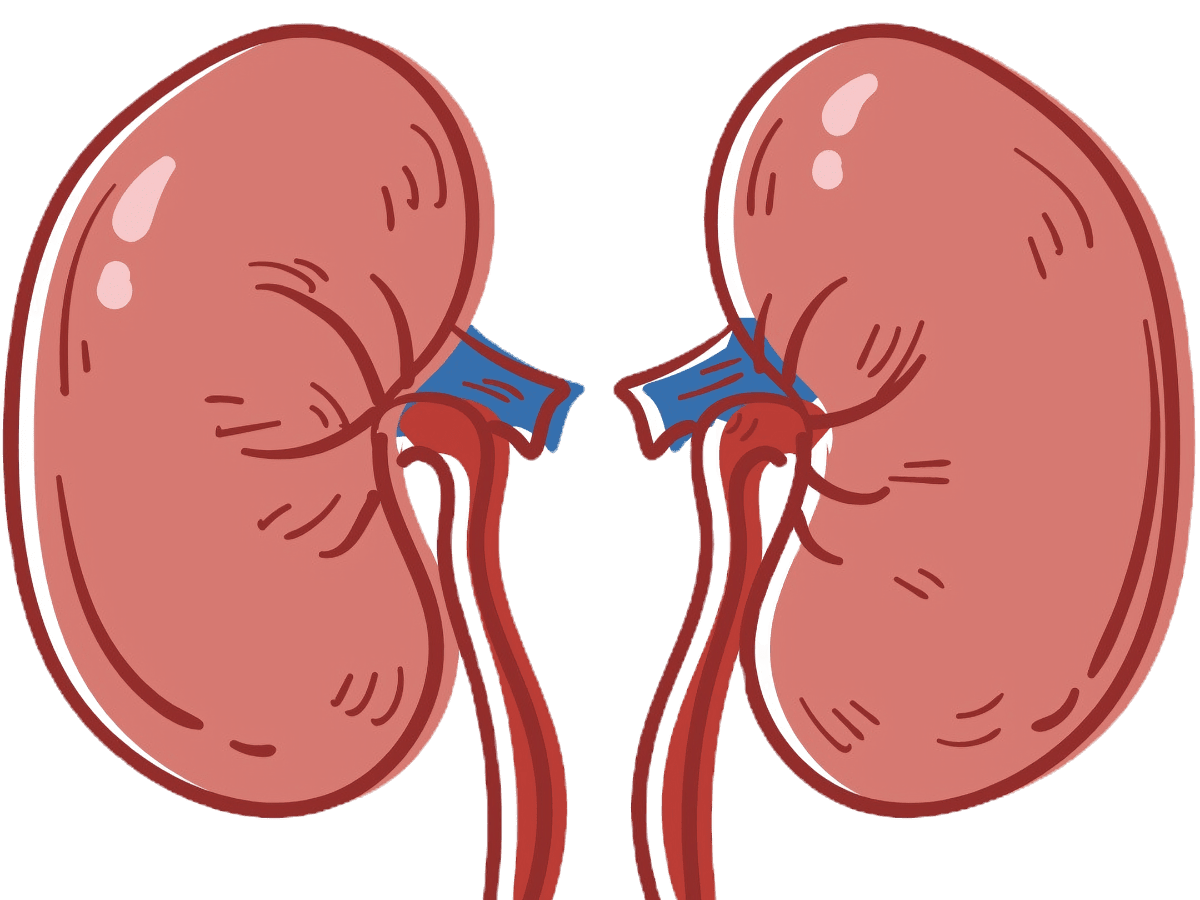 March is kidney month clipart clip art