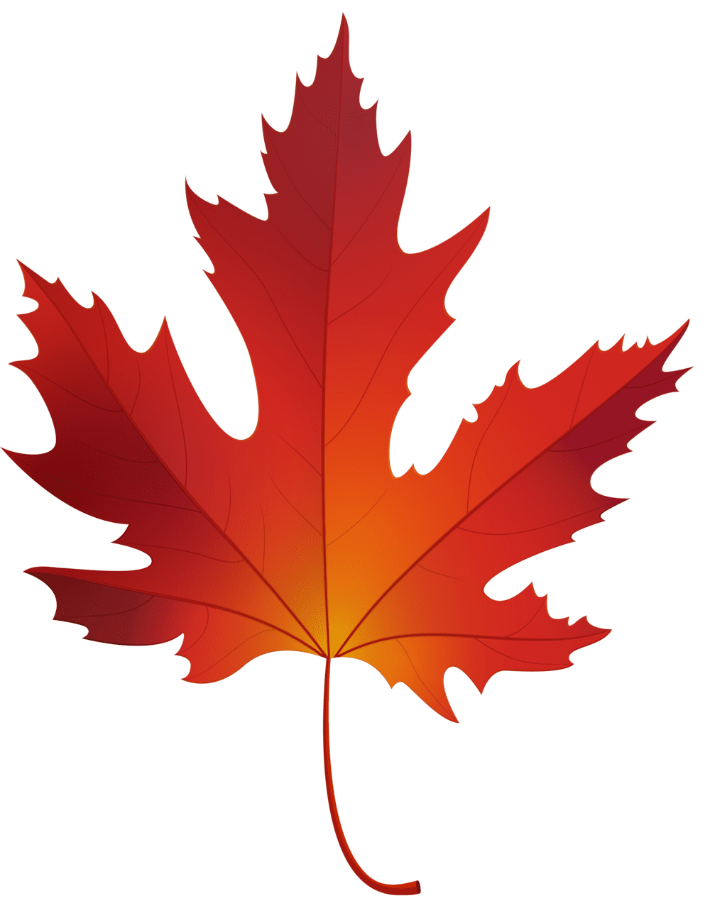 Autumn maple leaf clipart best image