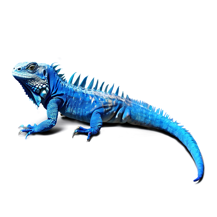 Blue iguana gsa clipart picture