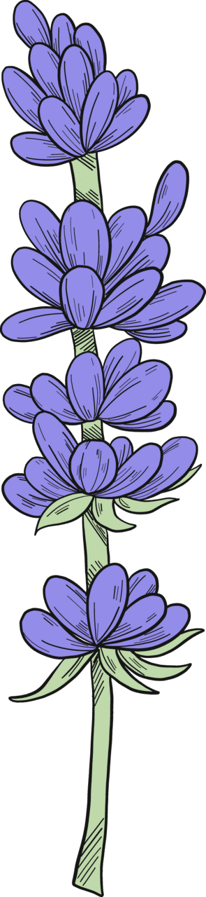 Lavender vector clipart images 9