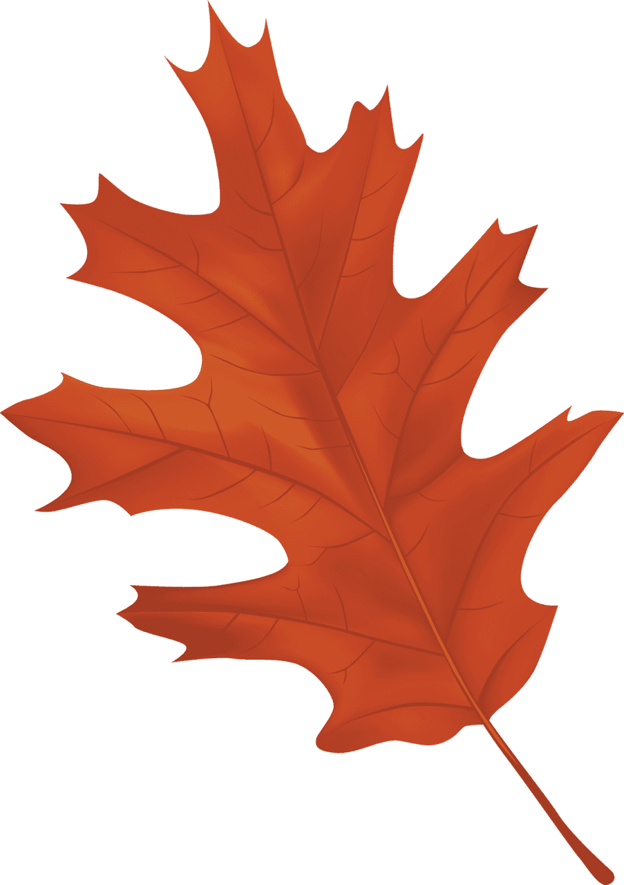 Maple leaf autumn images clipart