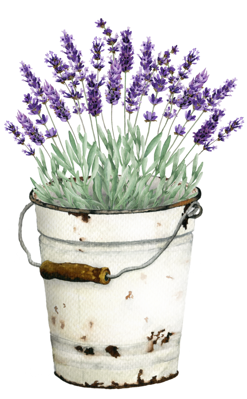 Lavender pin page clipart clip art