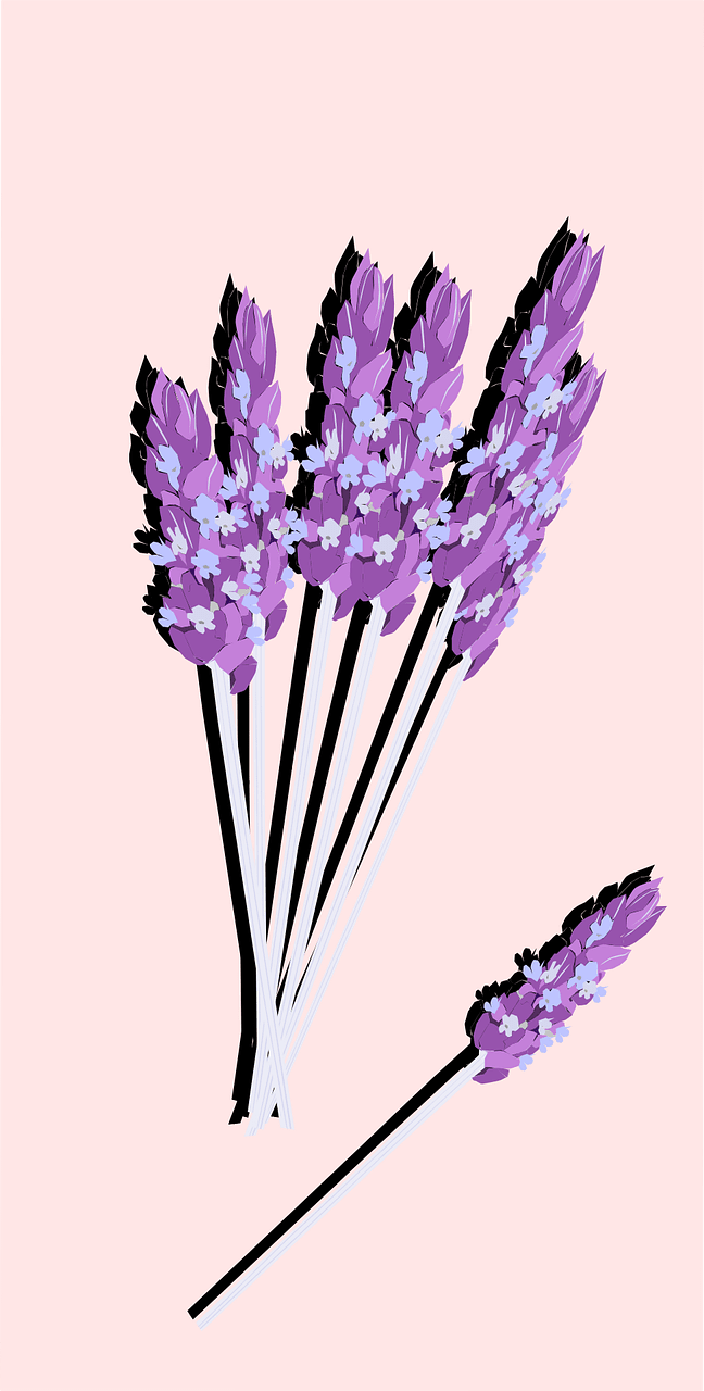 Blooming lavender images picryl clipart