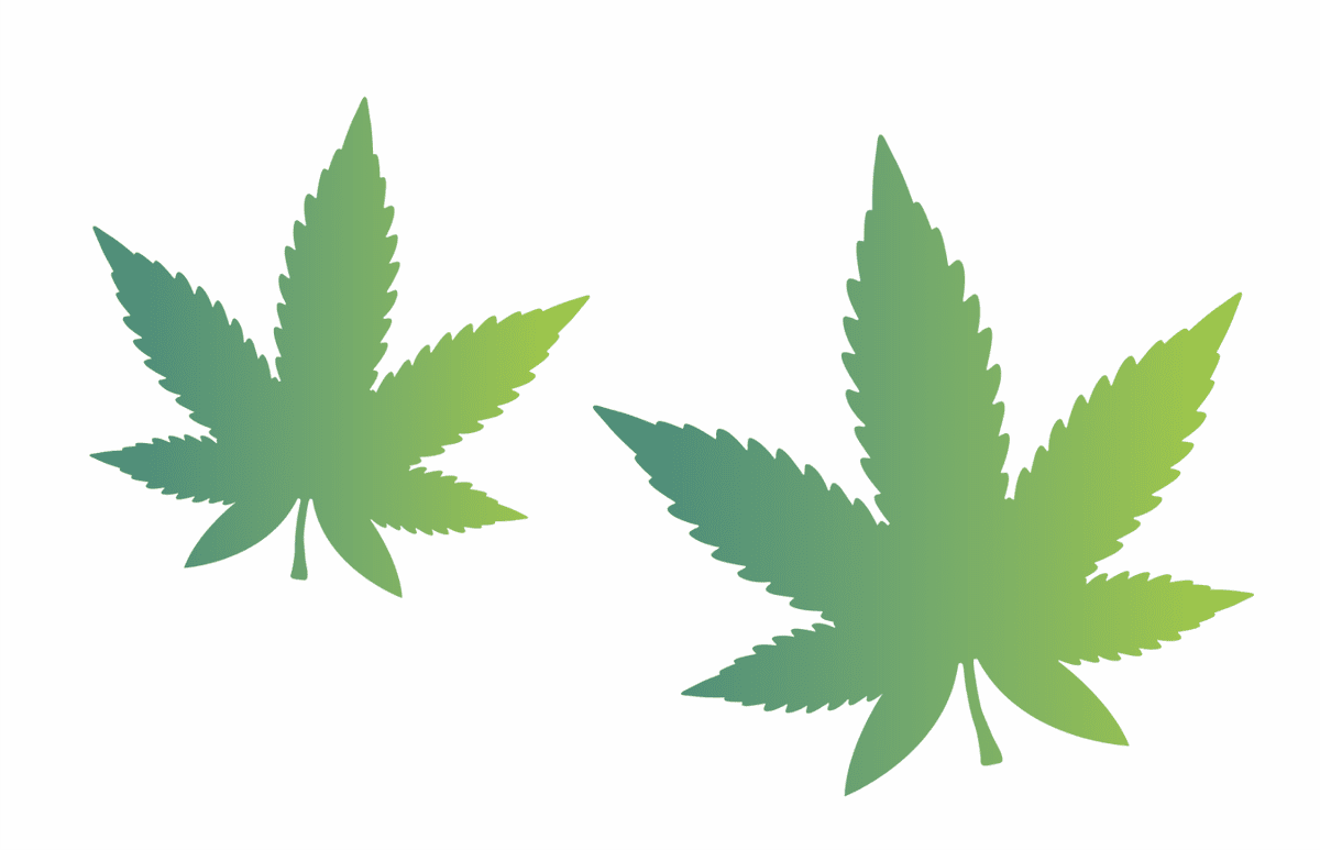 Marijuana leaf stencils by joanie weed stencil pot hemp diy hippie art signs clipart picture