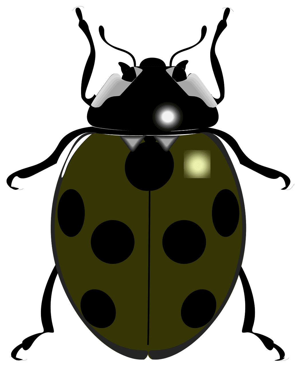 Lady beetle ladybug vector clipart images 7