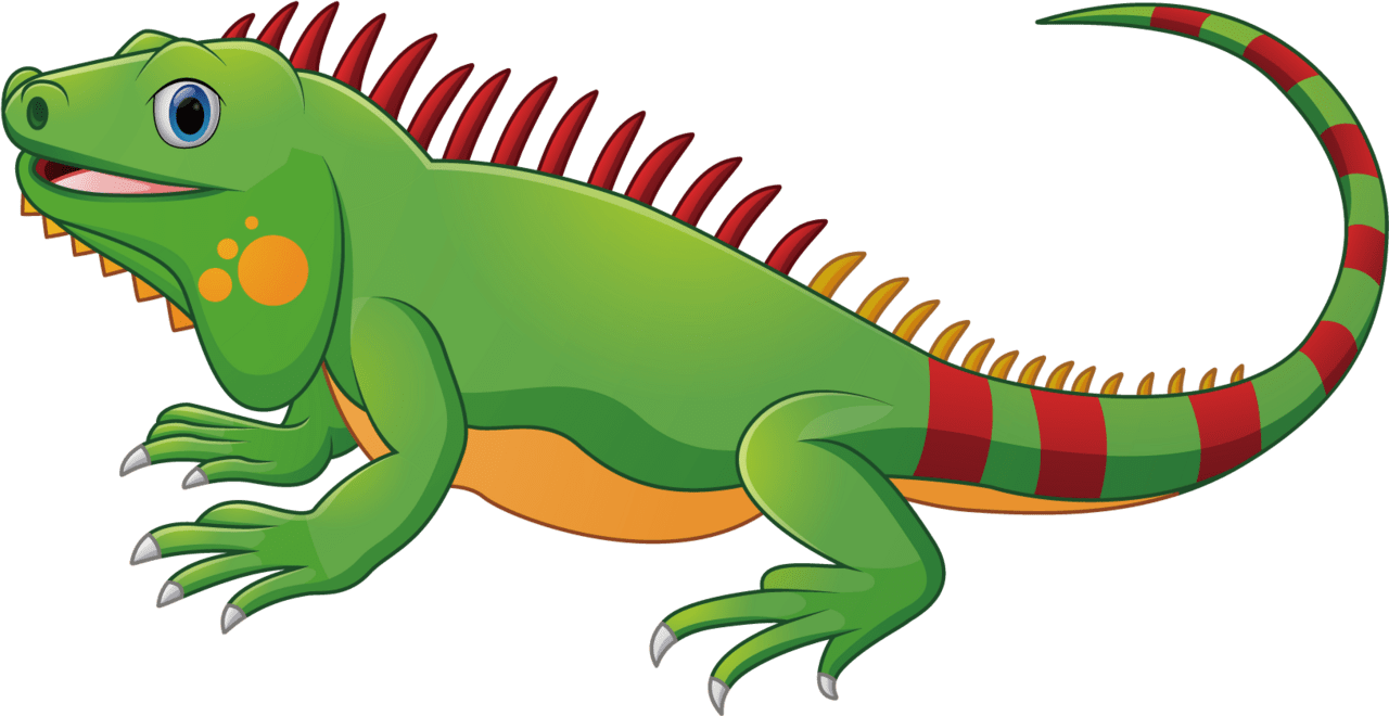 Iguana image size clipart 2