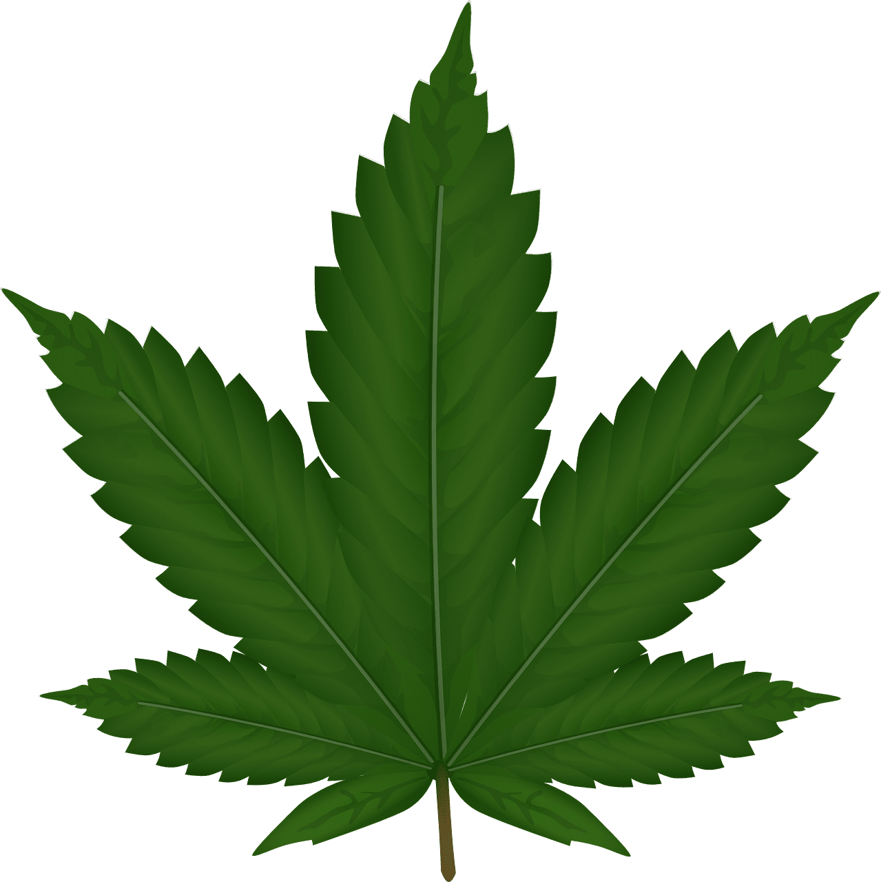 Marijuana leaf hemp weed vector graphic clipart