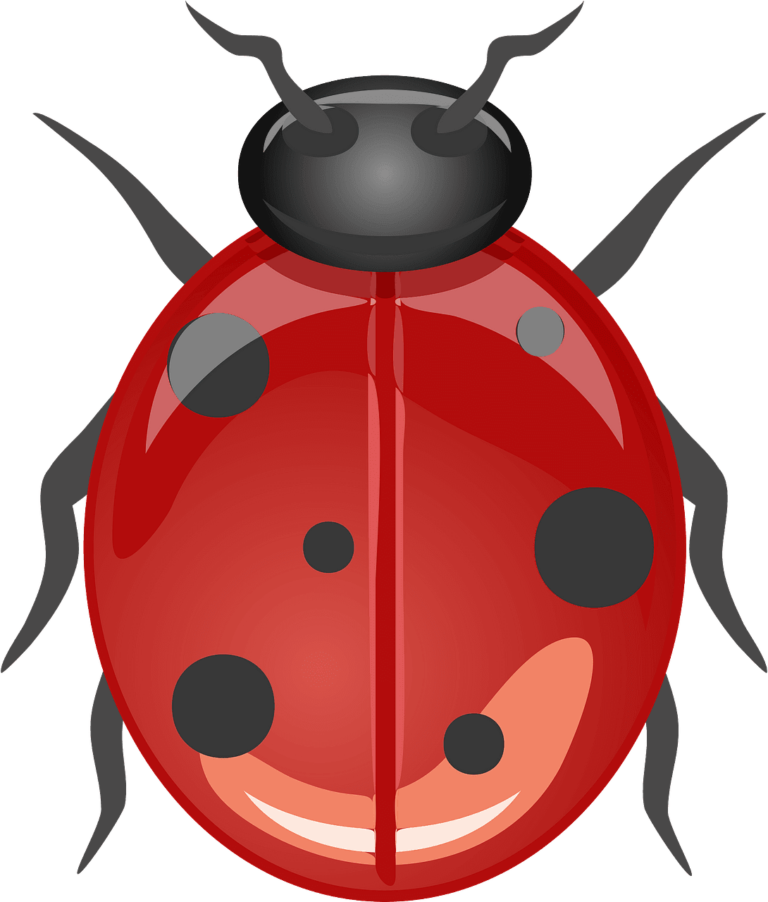 Lady beetle ladybug vector clipart images 8