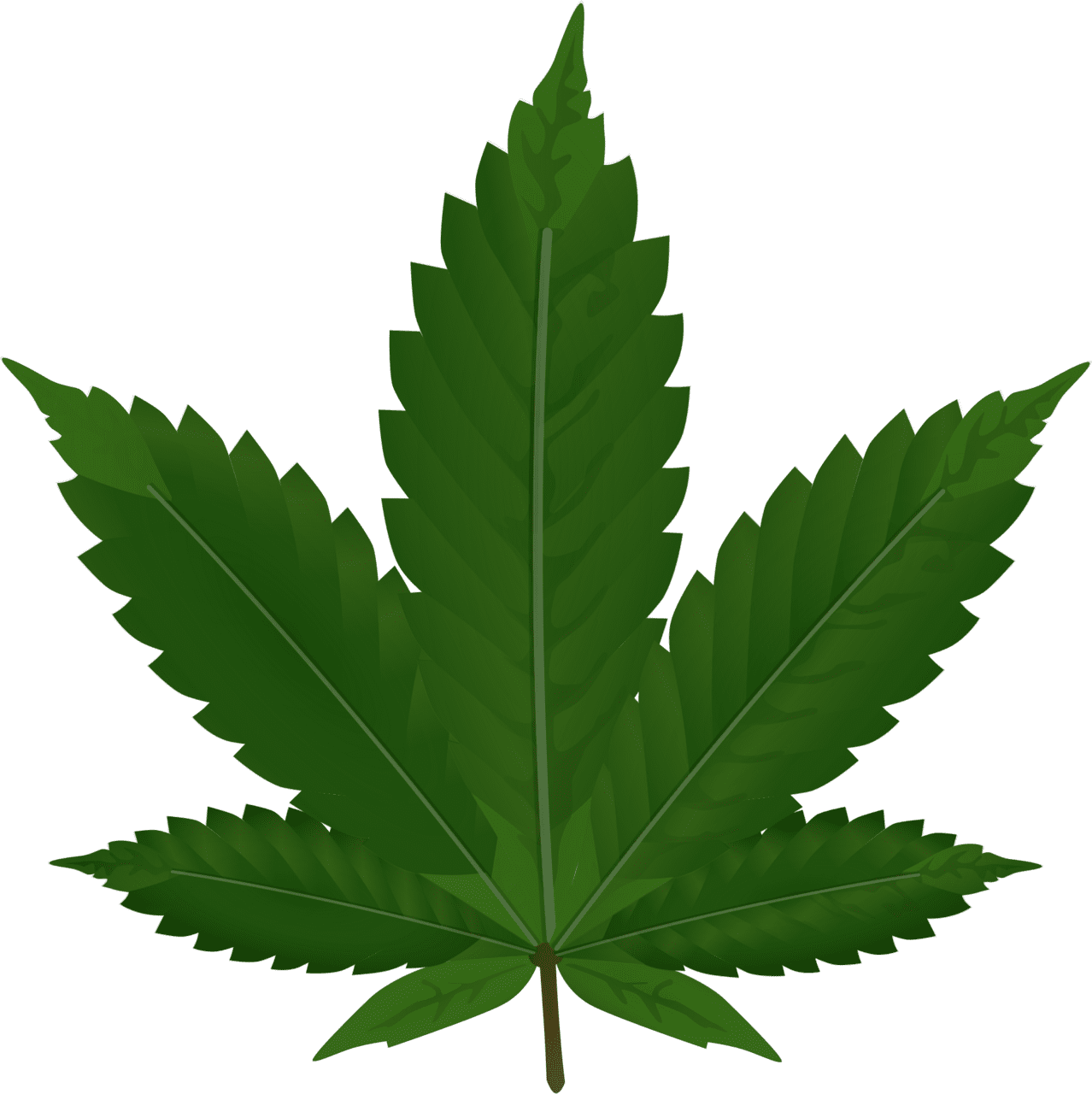 Marijuana leaf cannabis vector clipart images 2