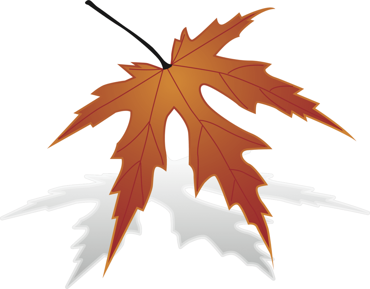 Maple leaf clipart big image with no background