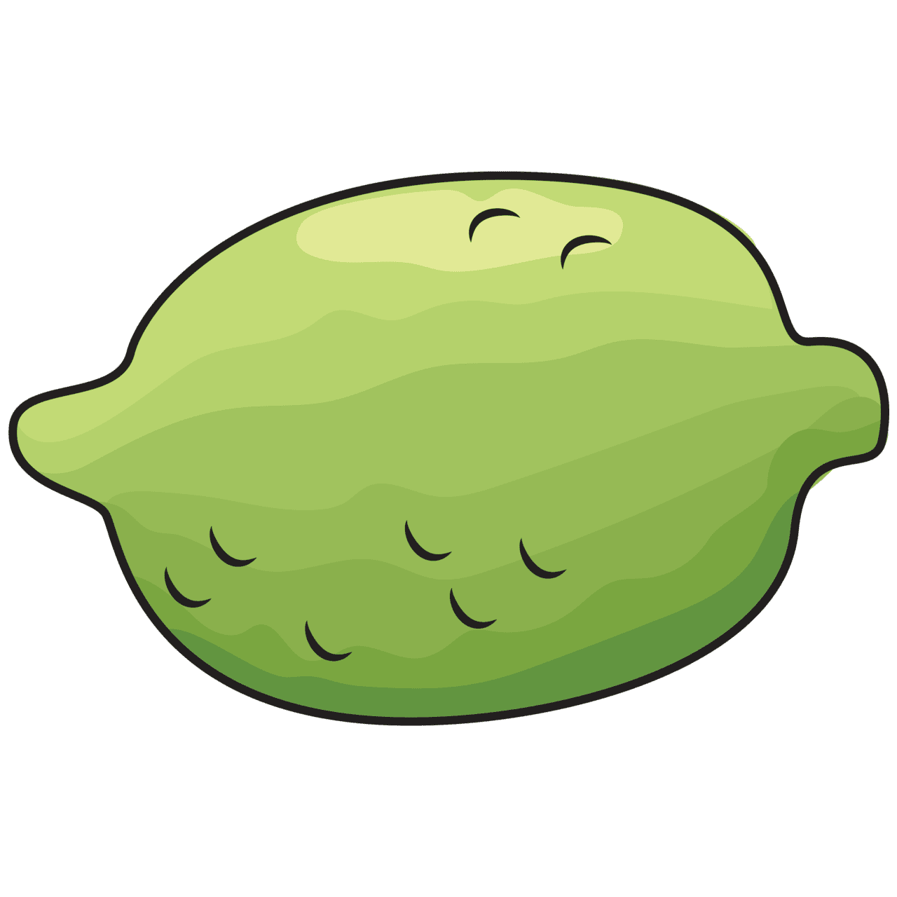 Lime vector clipart images 4