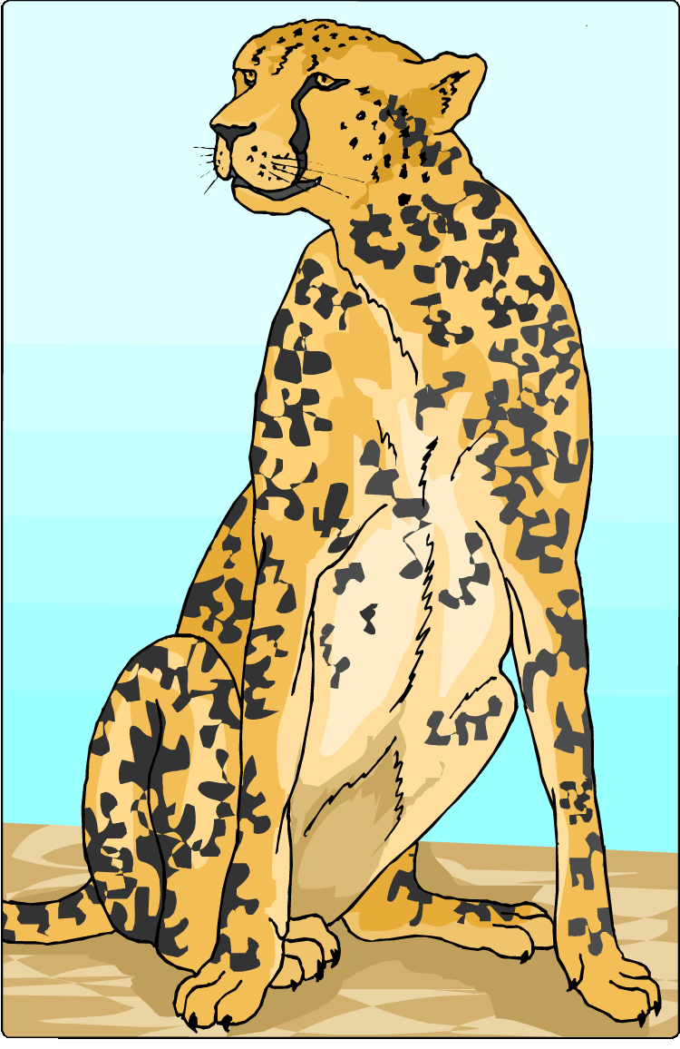 Jaguar cheetah clipart photo