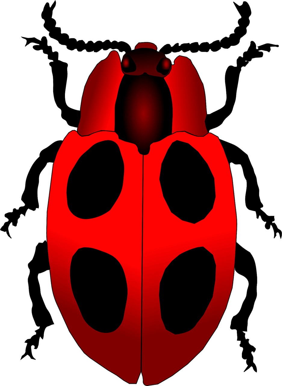 Lady beetle ladybug vector clipart images 5