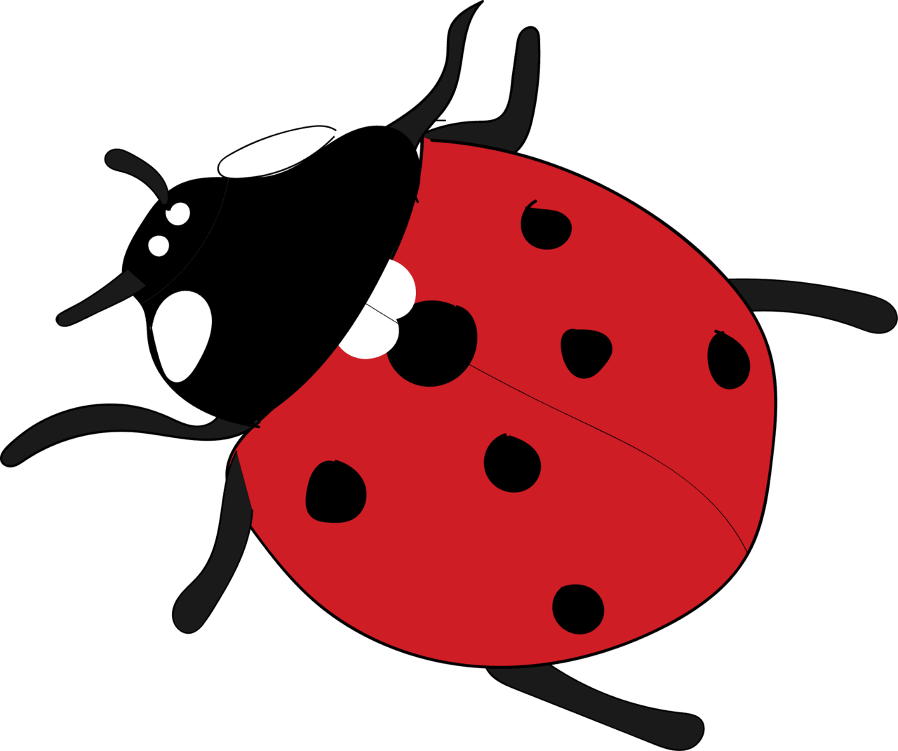 Lady beetle ladybug vector clipart images 9