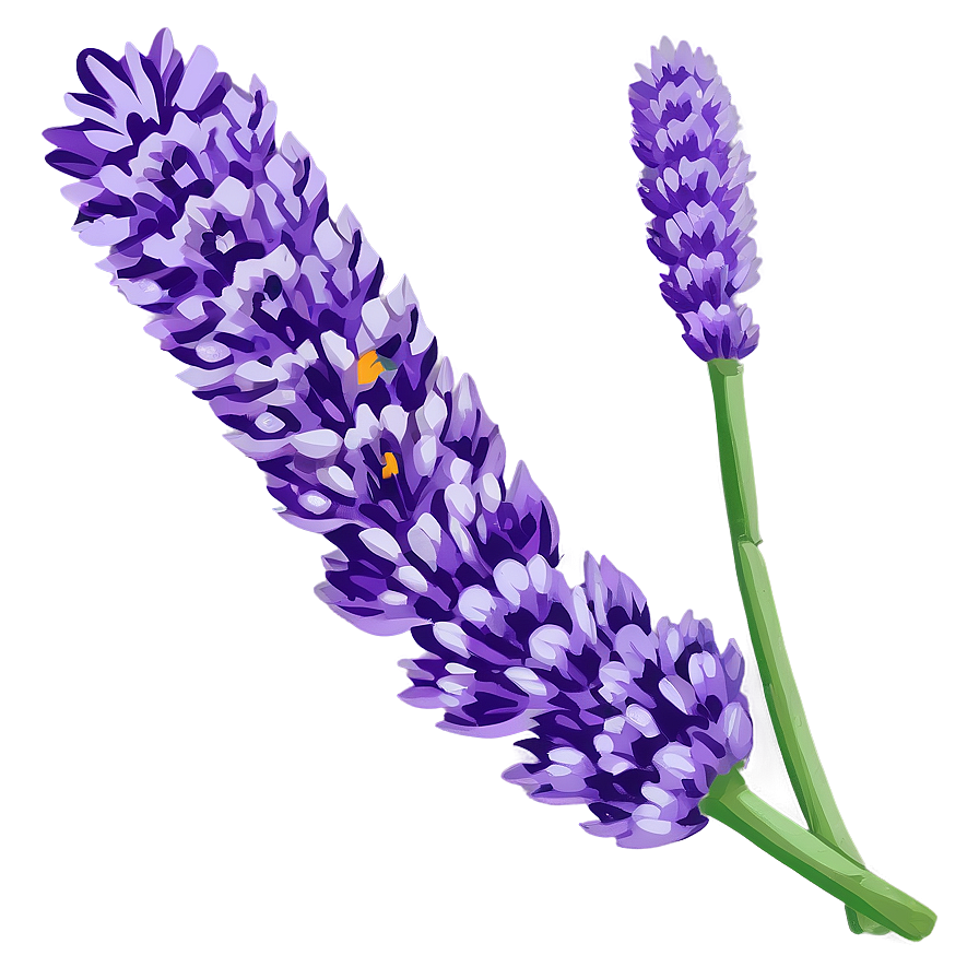 Lavender floral ole clipart logo