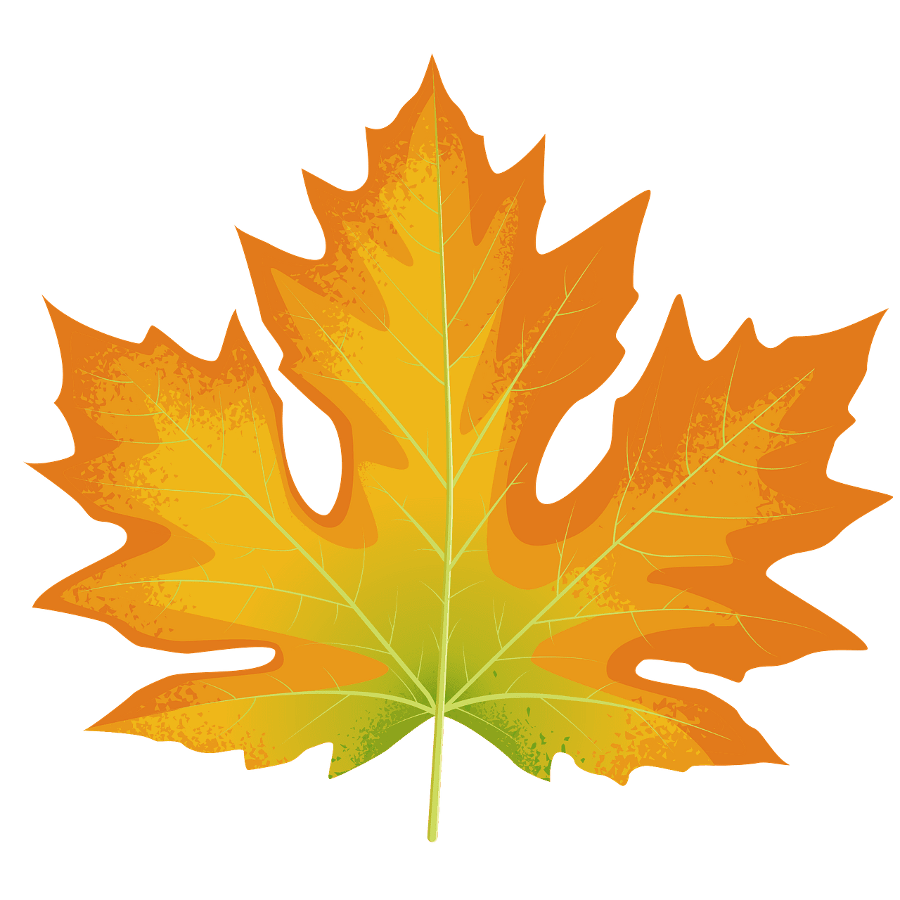 Maple leaf big autumn vector clipart images