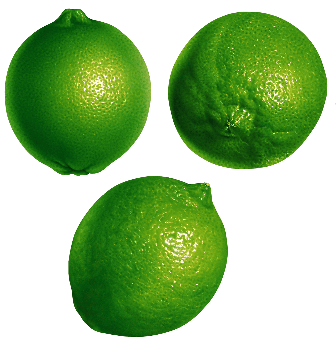 Lime image size clipart 3