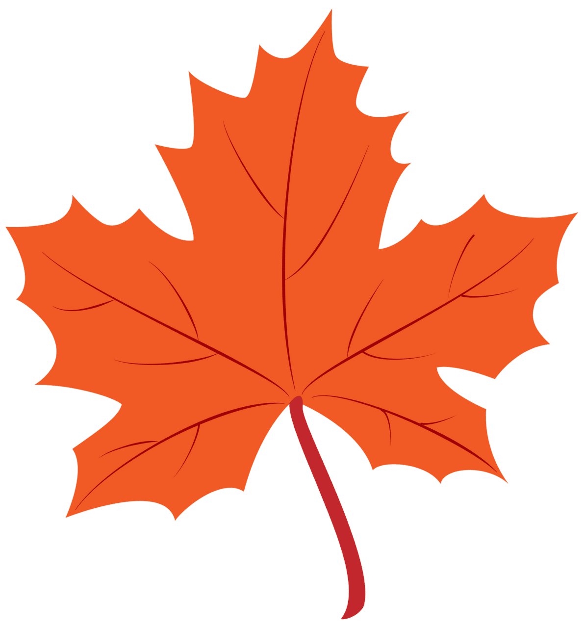 Maple leaf vector clipart images