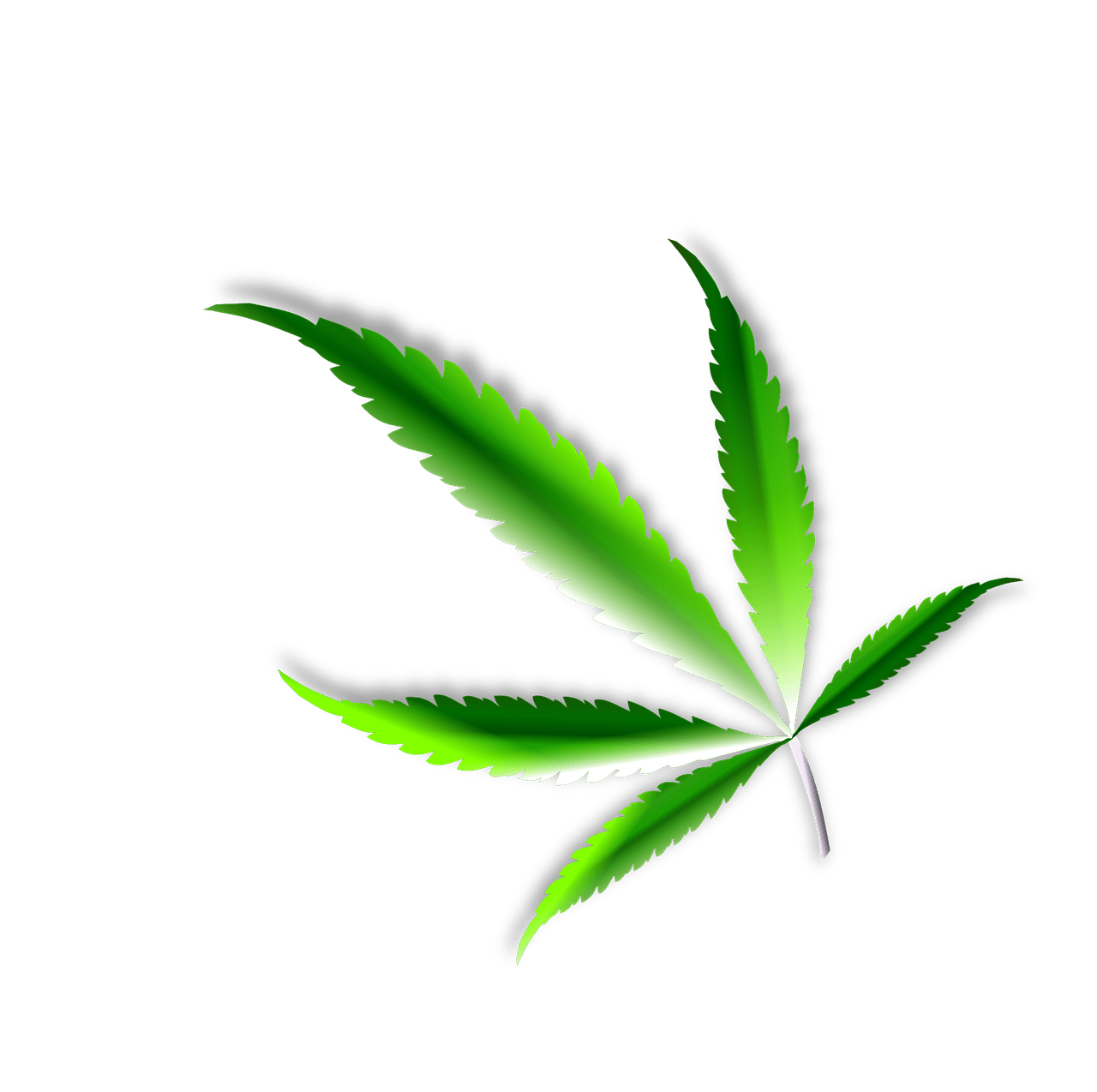 Marijuana leaf nature weed vector graphic clipart