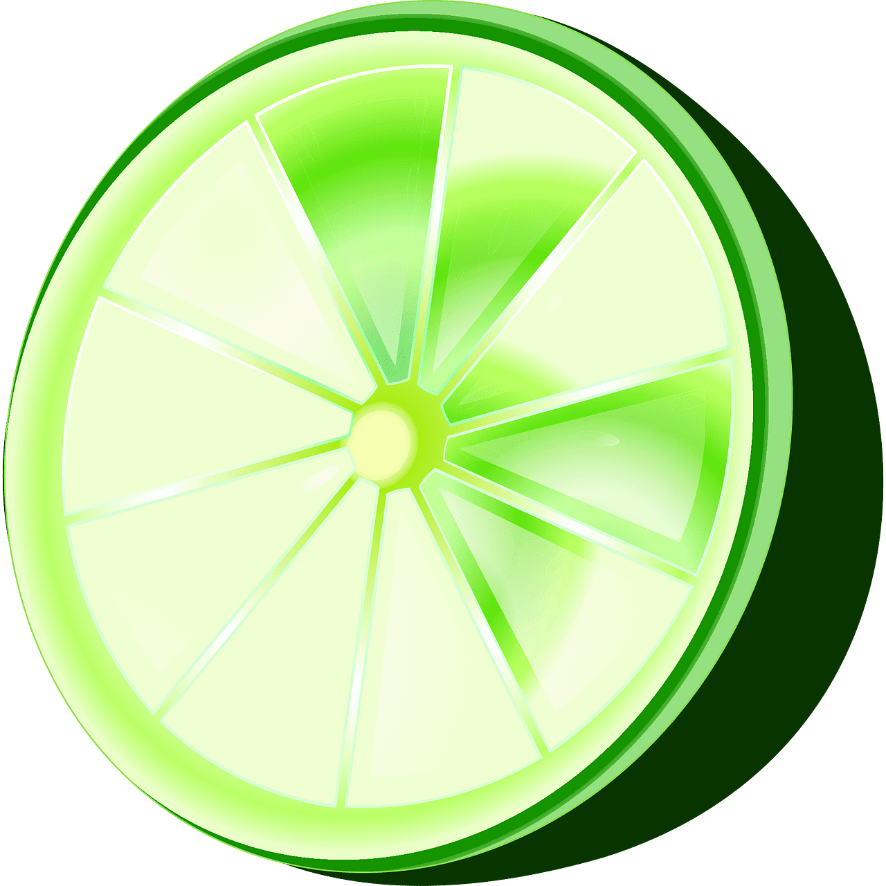 Lime vector clipart images 8