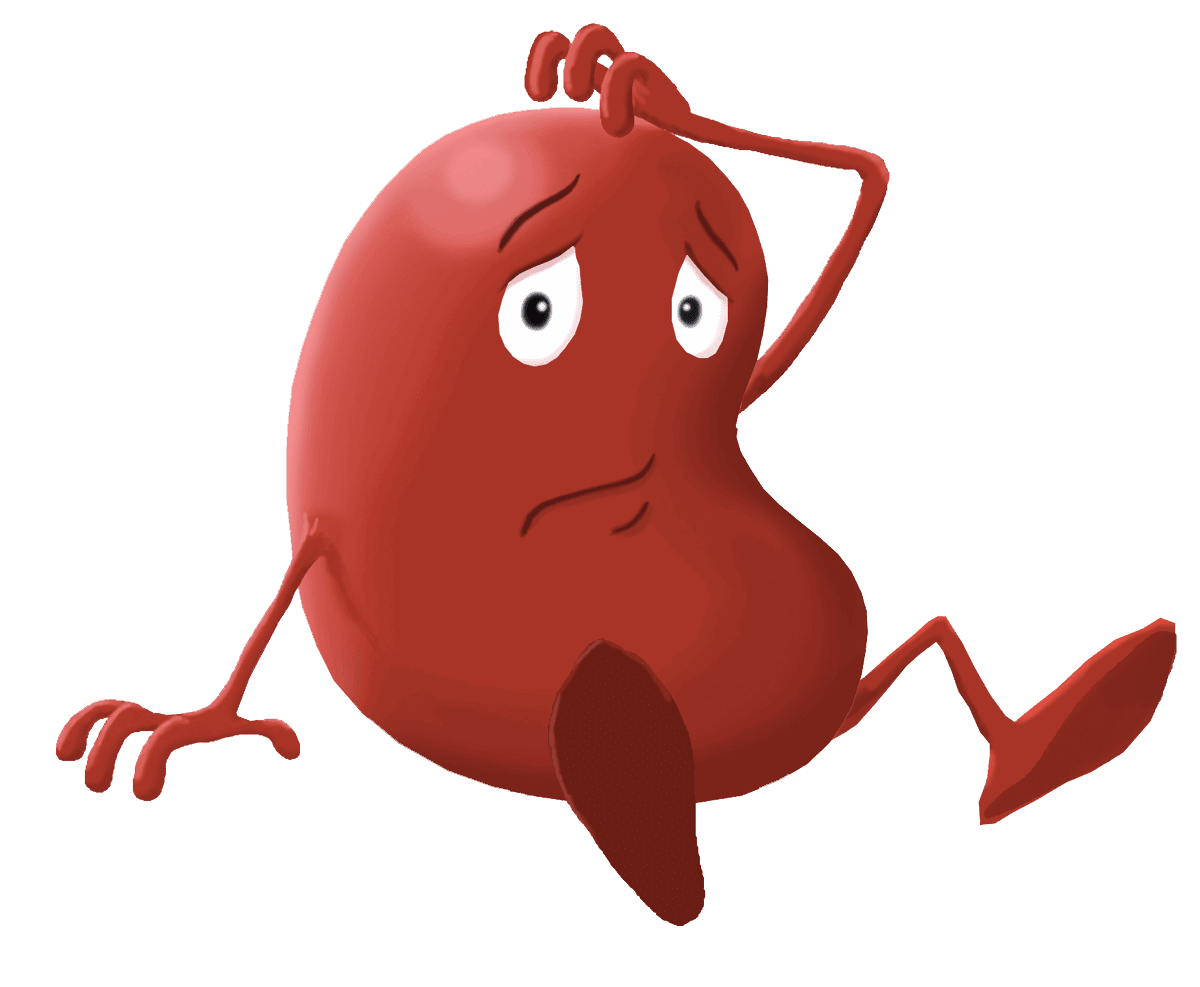 Medical information irish kidney association clipart photo